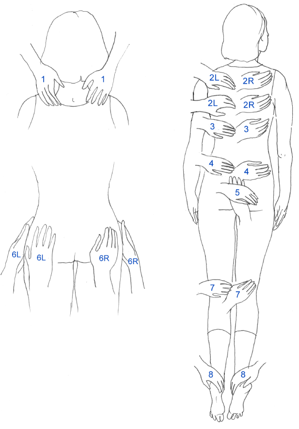 Reiki Hand Position Chart Pdf