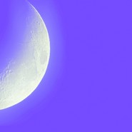 Healing Words: Short-Verse Poetry by Gil Dekel