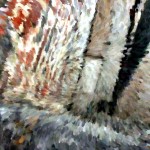The Conquest of Darkness: how I released the Three Knots of my past-lives that affected my present life