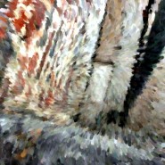 The Conquest of Darkness: how I released the Three Knots of my past-lives that affected my present life The Conquest of Darkness: how I released the Three Knots of my past-lives that affected my present life