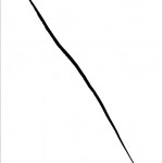 Portrait of a Line