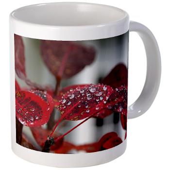 dew on red leaves - mug
