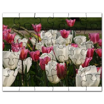 sea of tulips - puzzle