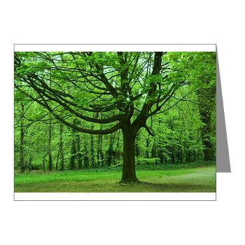 Photography gift cards