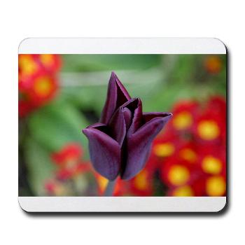 tulip - photography - mousepad