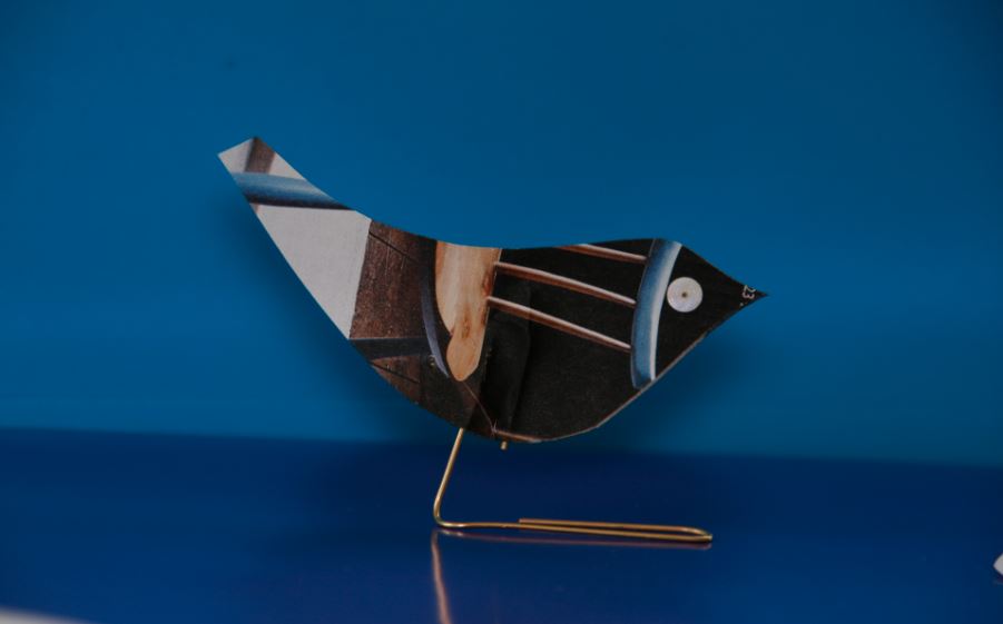 Bird Craft - Gil Dekel