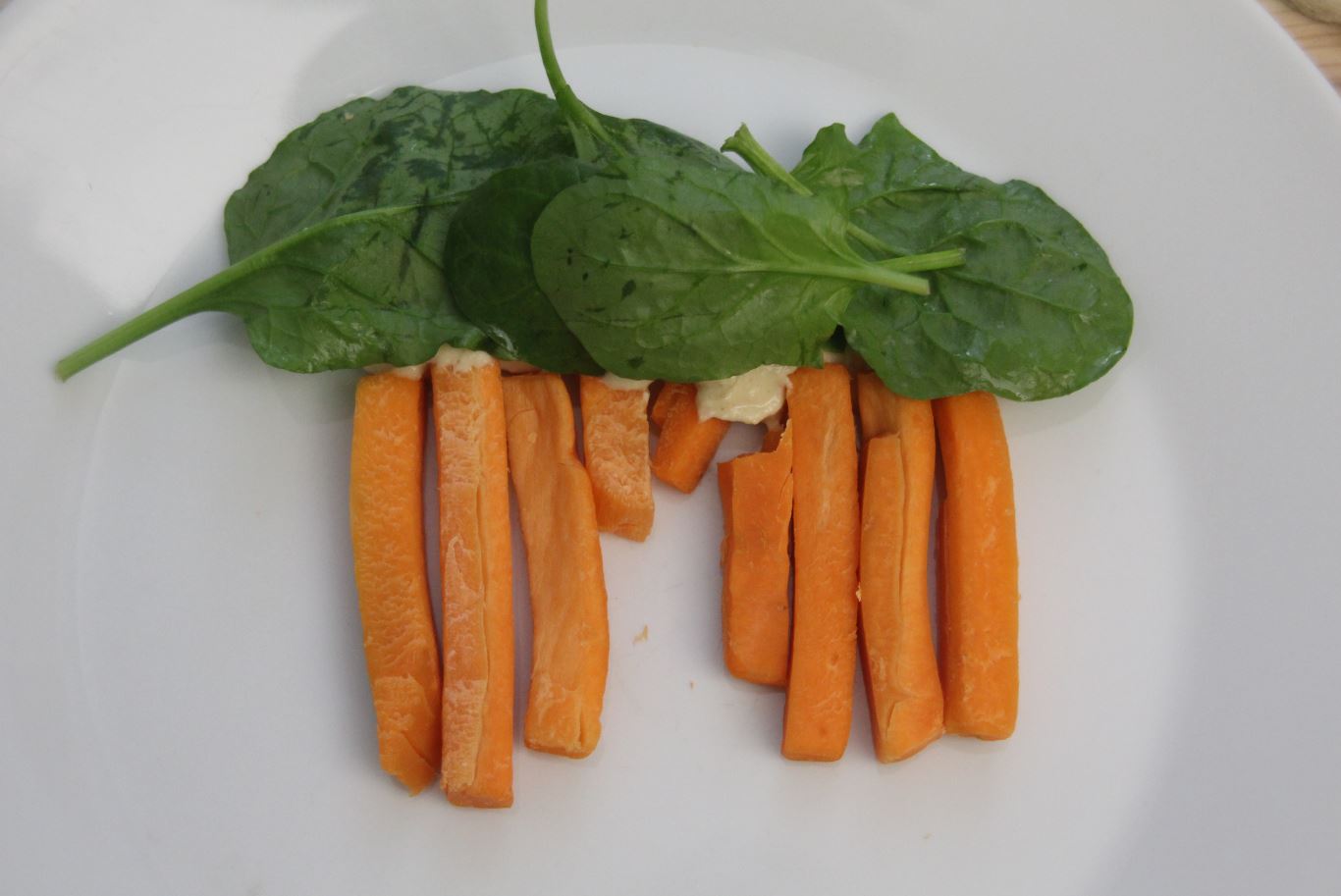 Art activity for sukot - plate showing suka model from carrots and spinach leaves.