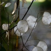 About Love: how to come out of the grief’s edge. About Love: how to come out of the grief’s edge.