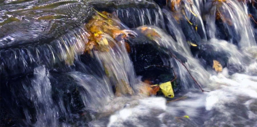 Water of life - Gil Dekel. River flow.