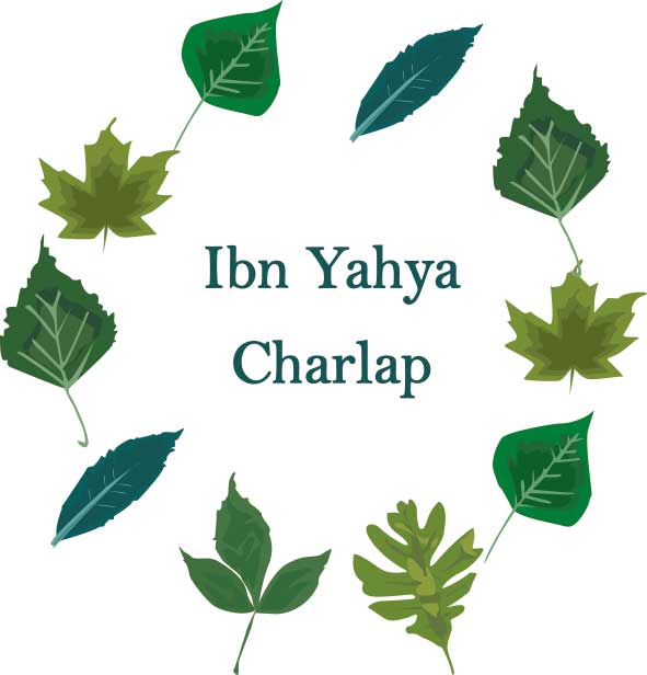 Ibn Yahya Charlap leaves