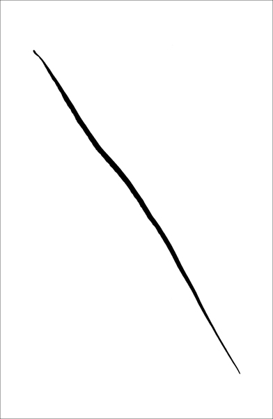 Portrait of a Line