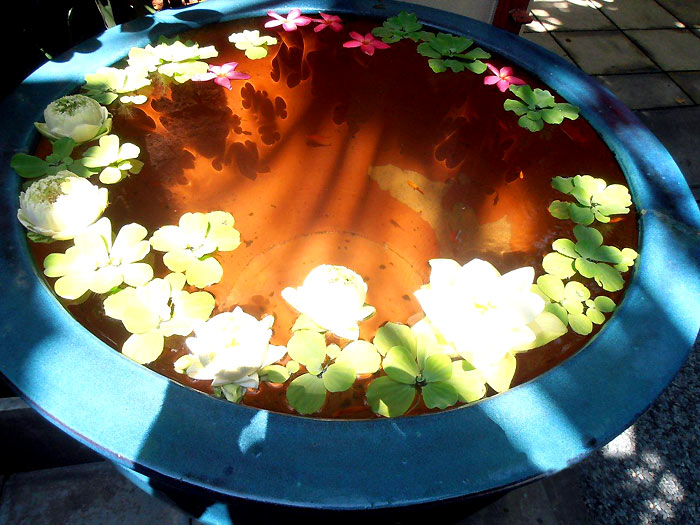 Bowl of Serenity (photo © Yaron Dekel, 2013)