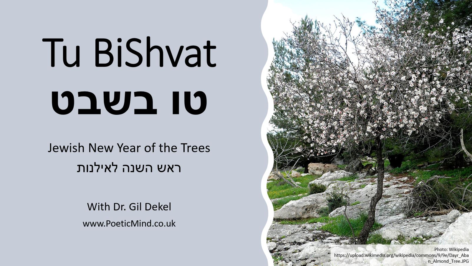 Tu BiShvat 2023 event.