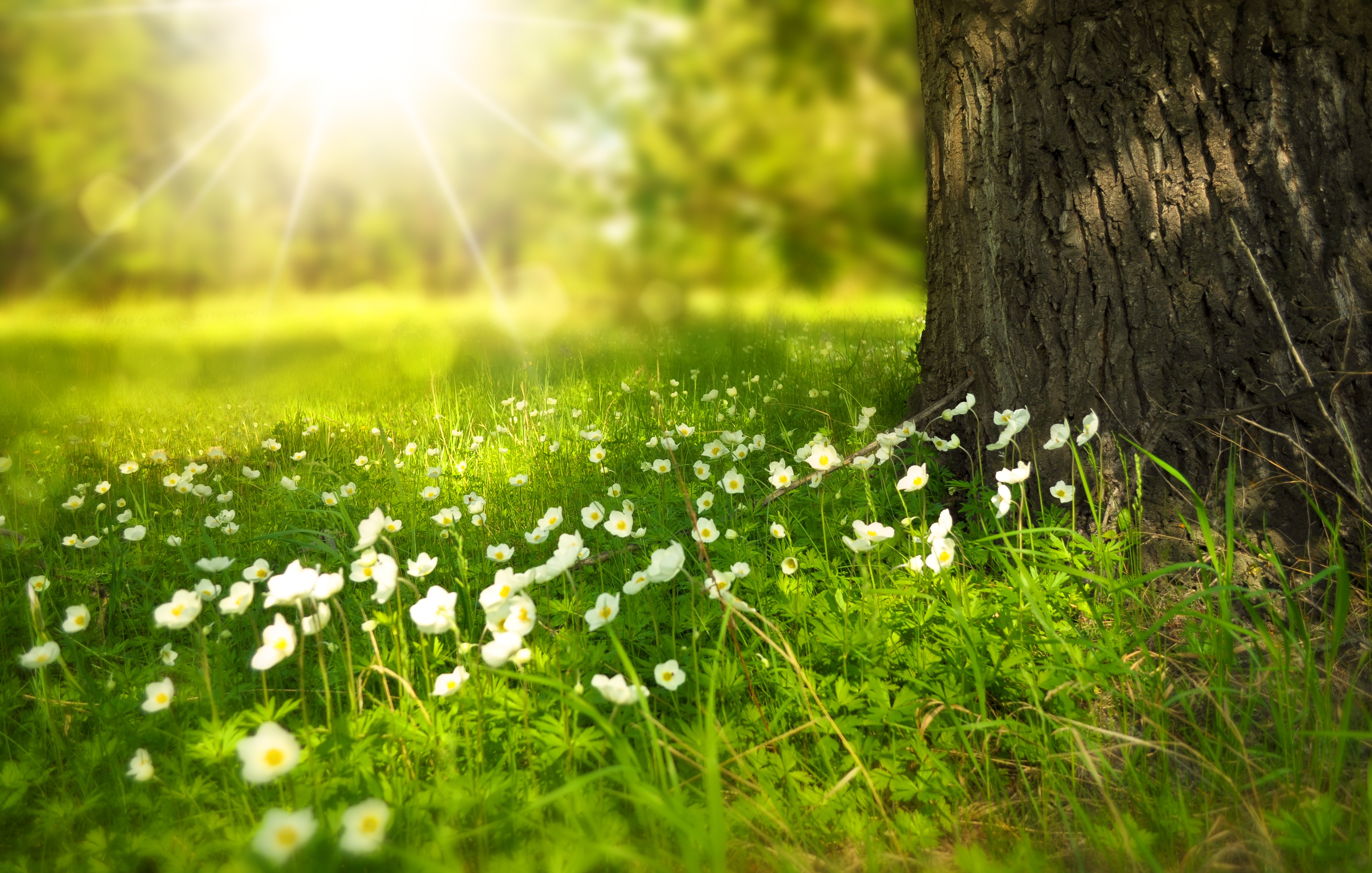 Free photos for spiritual practitioners