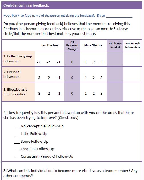 team building process- confidential mini feedback