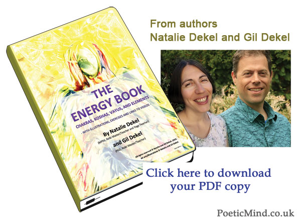 The Energy book: Restoring your sense of wellbeing and health