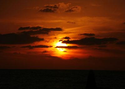 Haifa, Israel. (Photo: Gil Dekel, 2015).