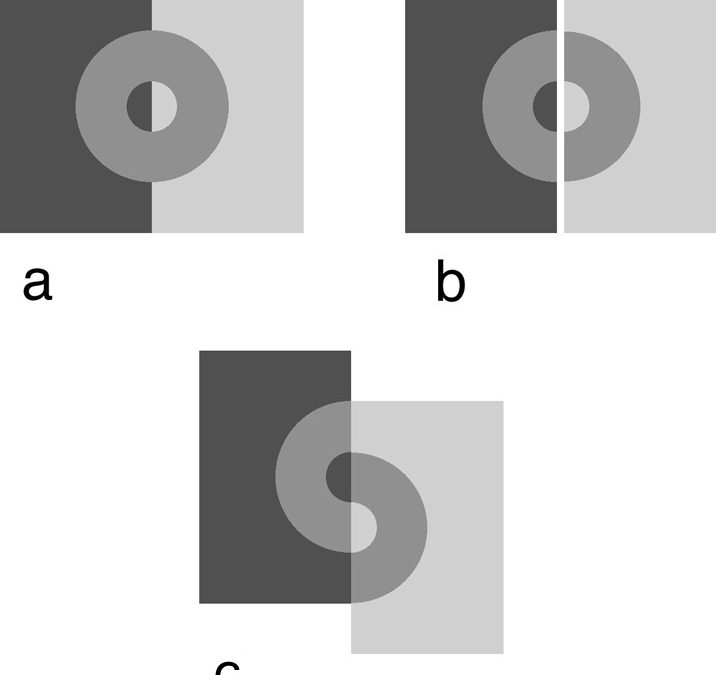 Lightness perception and lightness illusions