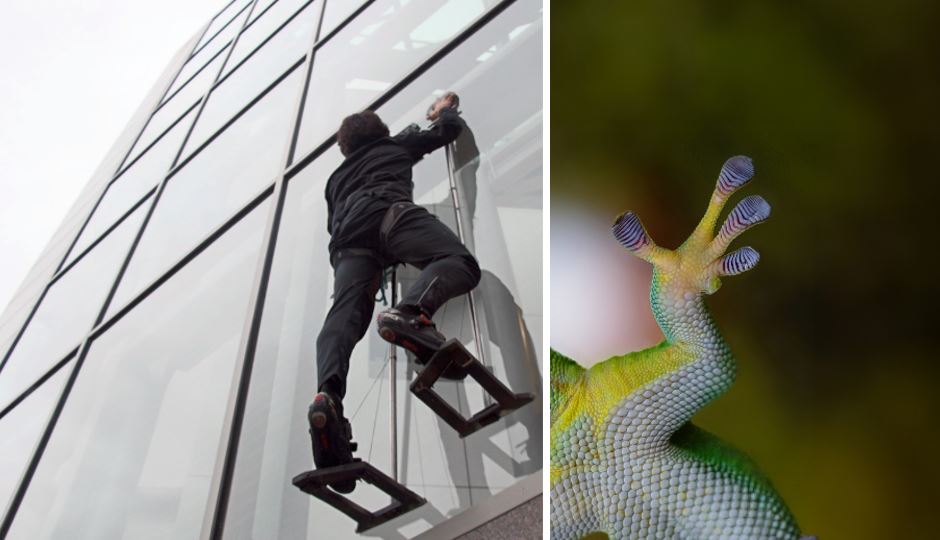Gecko-inspired adhesive is used for climbing pads