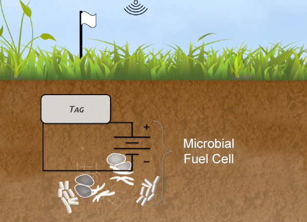 Microbial fuel cell (MFC) attached to a low-power wireless soil moisture measurement tag. 