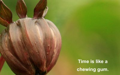 Clothing emotions with words