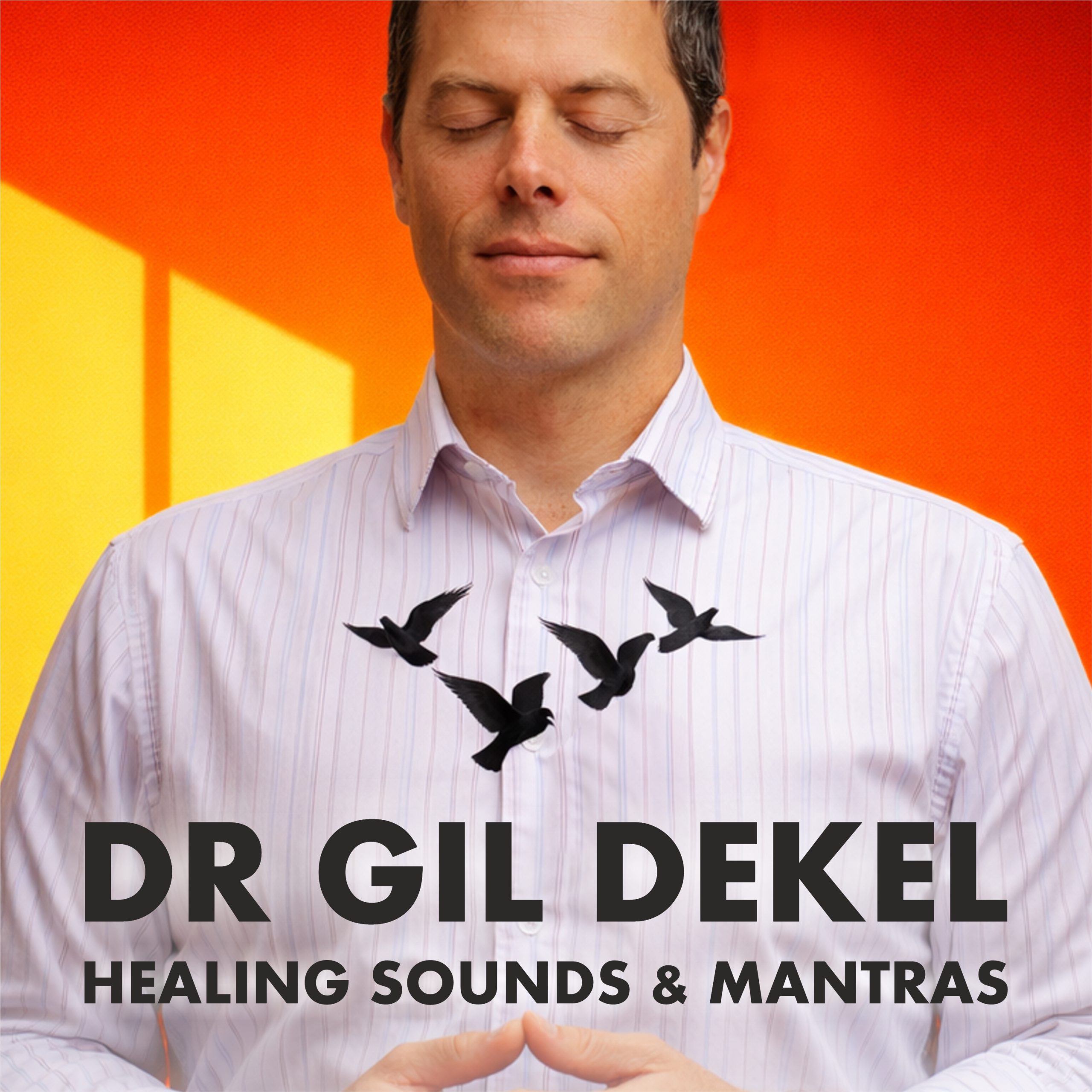 Album Cover Healing Sounds & Mantras - Dr Gil Dekel. A man, eyes closed, in meditation. Small birds fly from his heart area.